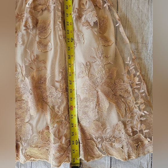 Adrianna Papell Size 12 Blush gold mesh embroidered short illusion dress New Tag - Picture 13 of 14